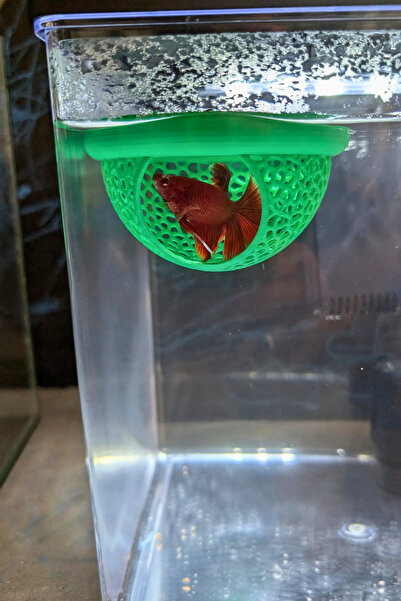 WOOF Beta Saklanma Evi Ve Yumurta Saklama Alanı Beta Yüzer Mağara 9 Cm Akvaryum Dekoru Mavi