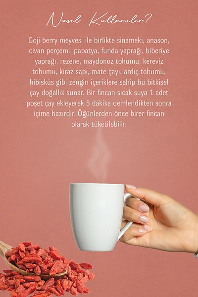 Mecitefendi Goji Berry Filtered Bag 40 pcs8697459027492