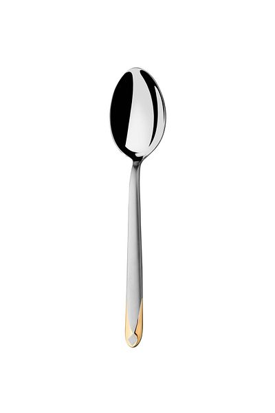 Narin Asellus Tea Spoon - Matte Gold - 12 Pieces