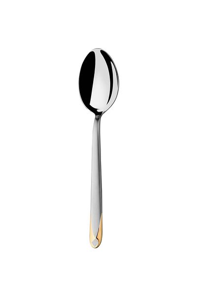 Narin Asellus Dessert Spoon - Matte Gold - 12 Pieces