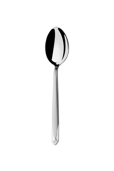 Narin Asellus Dessert Spoon - Matte - 12 Pieces