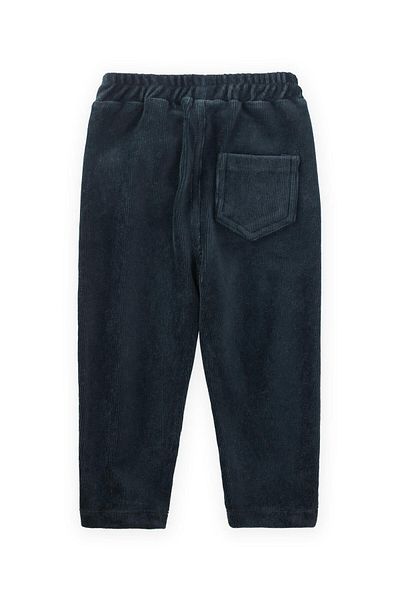 Cigit 1-8 Years Dark Blue Corduroy Trousers
