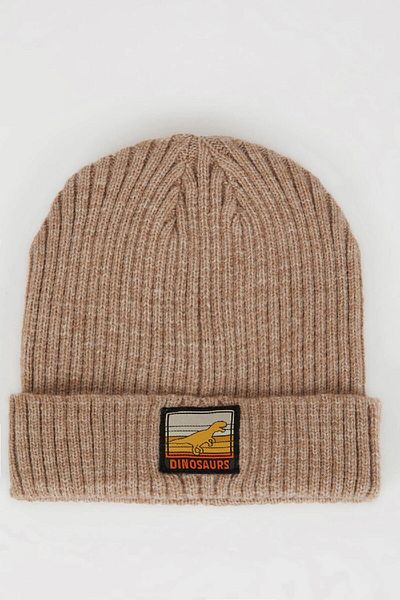 DeFacto Boy's Ribbed Knitted Beanie C8587A824Wn