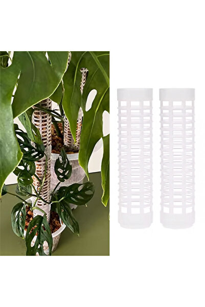 Generic Planting air rooting fillable sticks for pathus