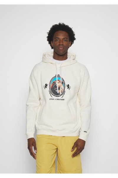 Nike Lebron James Brush Pullover Fleece Hoodie Men's Sweatshirt Ndd Sport