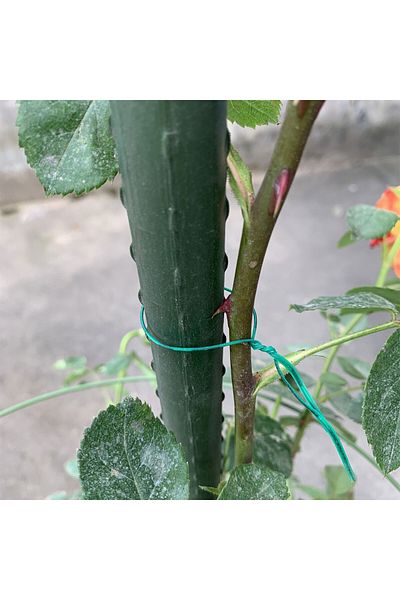 Generic Planting holding tie 30ms