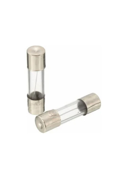 Gutsy Fuse 10a-250 Fuse 10 Amp-250 Cam Sıgorta 10 Adet