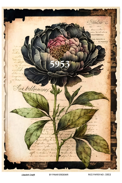 LİNEART Lineart Pirinç Dekopaj Kağıdı No:L5953- 29x42cm