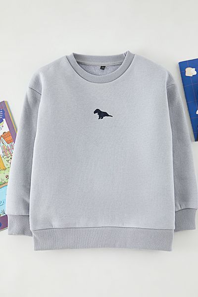 TRENDYOLKIDS Gray Boy Printed Knitted Sweatshirt Tkdaw25Sw00119