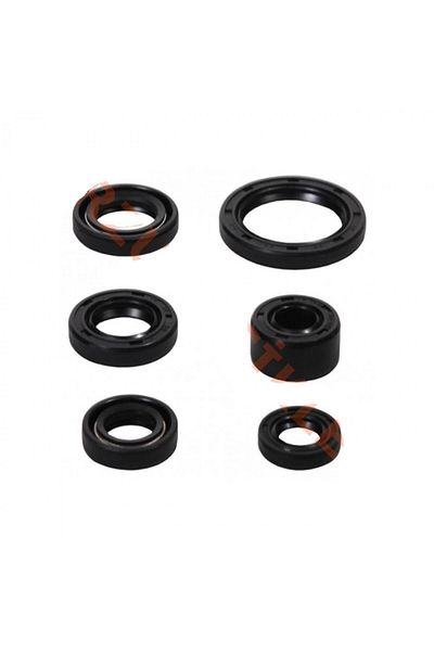 MOTOSPARTAN Yağ Keçe Seti Mondıal Cub 100 ( 6 Lı Set ) Kh