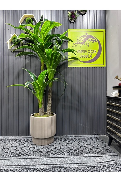 İremÇiçekçilik Yapay Çiçek Uygula Yapay Ağaç Salon Çiçeği 180 Cm Yucca