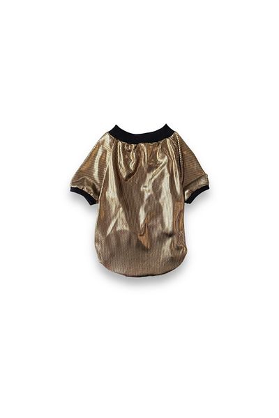 Luli Pet Gold Lycra Dog T-Shirt