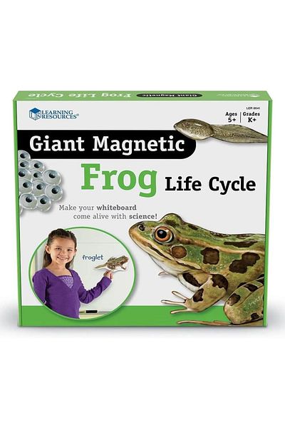 Learning Resources Giant Magnetic Frog Life Cycle-LER6041