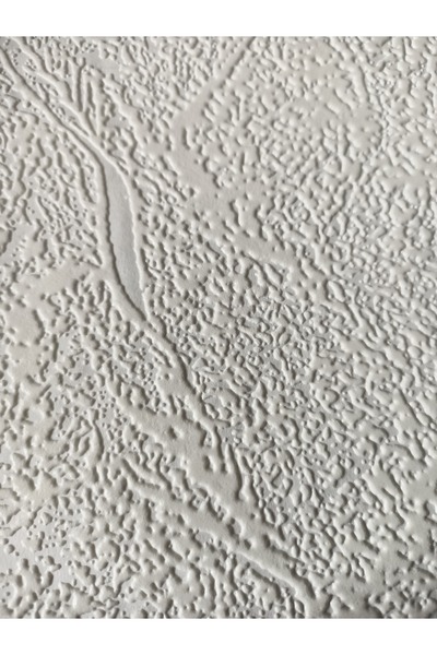 Yasham Ankawall Picasso Boyanabilir Tavan Ve Duvar Kağıdı 26,5m2