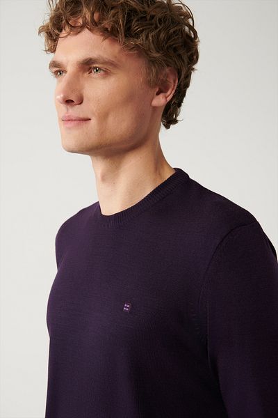 Avva Ανδρικό πλεκτό πουλόβερ Damson Crew-Neck Non-Pilling E005000