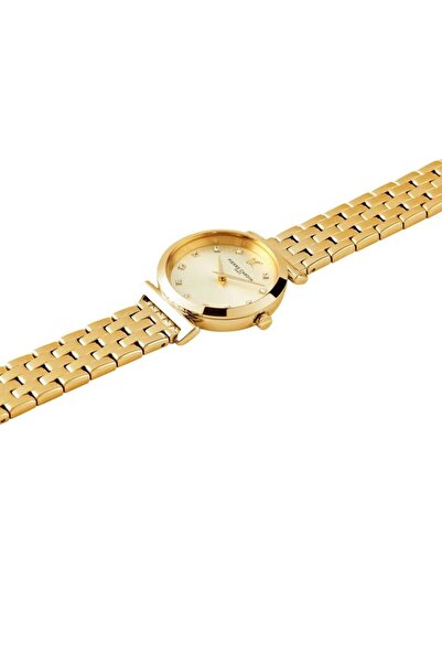 Pierre Cardin Cf.0807.Se.G Wristwatch