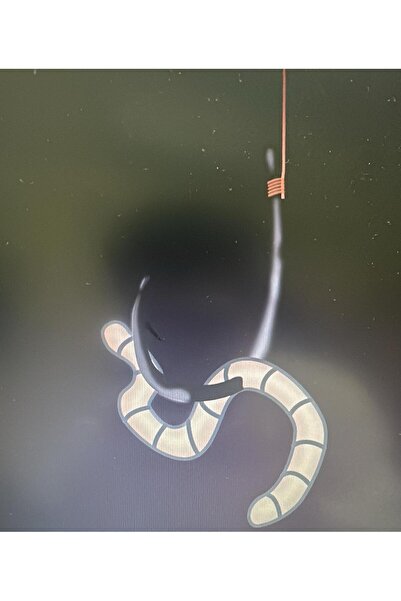 ÇİFTÇİM yem solucan çayır solucanı ( olta balıkçılığı i İÇİN ) iri boy