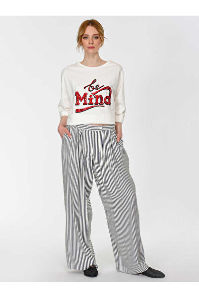 Roman Çizgili Geniş Paça Kadın Pantolon Standart Renk Y1912045_089