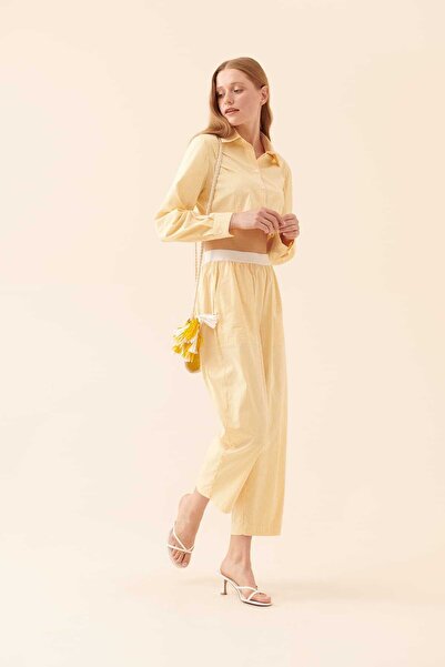 Roman Çizgili Pantolon Standart Renk Y2312029_089