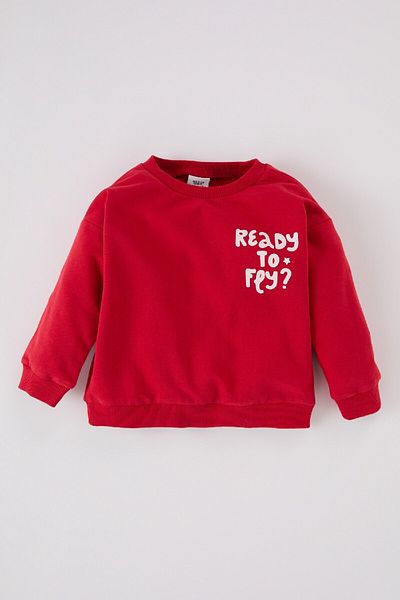 DeFacto Baby Boy Crew Neck Printed Soft Furry Inside Sweatshirt D0707A524Wn