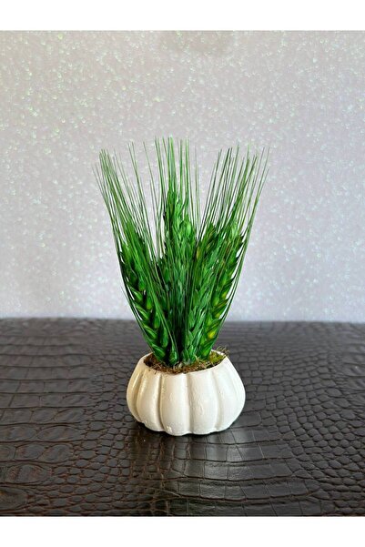 TTH Takatuka Hediyelik 4 Adet Mini Kabak Gerçek Kuru Başak Çiçek Dekoratif Kahve Yanı Sunumluk