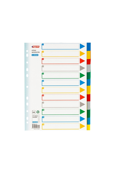 Bigpoint Organizator de fișiere în 12 culori - pentru catalogare, marcaj și s...