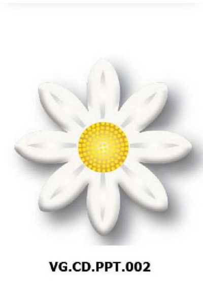 Korinitta 288 Pieces White Daisy Decor Chocolate