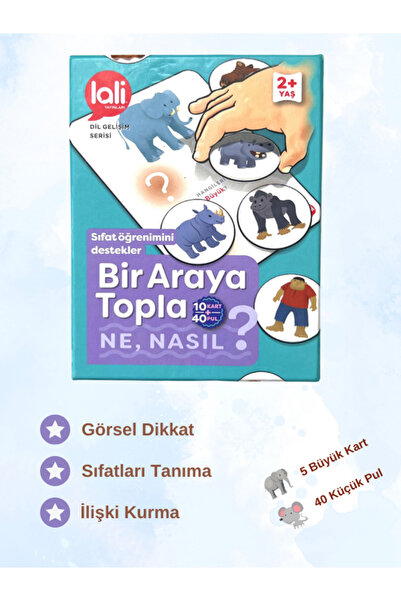 Bir Araya Topla- Ne, Nasıl ?