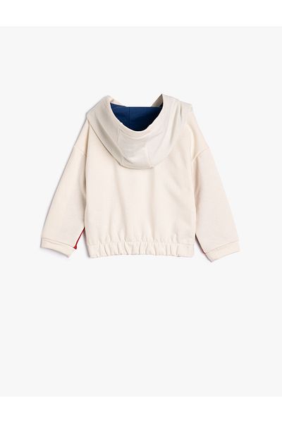 Koton Hooded Sweatshirt Color Contrast Dog Printed Cotton
