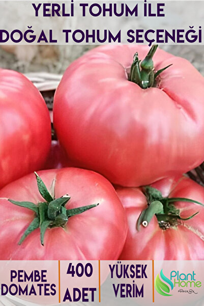 Plant Home Power Mix 400 Adet Pembe Domates Tohumu - Yerli Ürün - Verimli ve ...