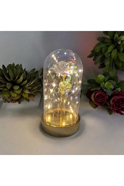 HKM Hobim Sevgililer Ve Anneler Gününe Özel, Dekoratif Solmayan Sonsuzluk Gülü,ışıklı Fanusta Gül,ışıklı Fanus