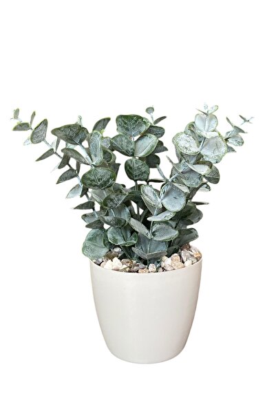 YAPAY ÇİÇEKÇİNİZ ΤΕΧΝΗΤΟ ΟΞΥΦΥΛΛΟ ΜΕ ΠΕΤΡΙΝΗ ΛΕΠΤΟΜΕΡΗΣ ΤΕΧΝΗΣ ΣΕ ΠΟΥΤΙΚΑ ΣΚΕΥΗ