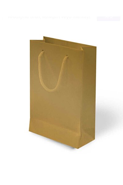 arminow ALTIN RENK İPLİ KARTON ÇANTA - 20x25x8 CM - 2 ADET - Ç030