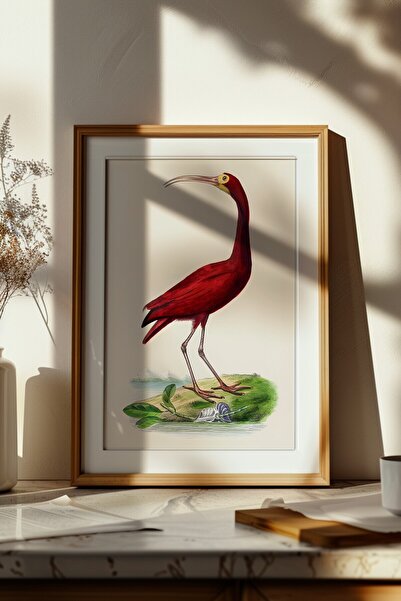 Home Vintage Kırmızı Kuş Tablosu, Ev Dekorasyon, Oturma Odası Tablosu, Minima...