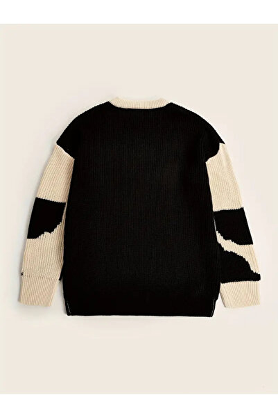 Tarz Cool Men's Black-White Regular Fit Knitwear Sweater