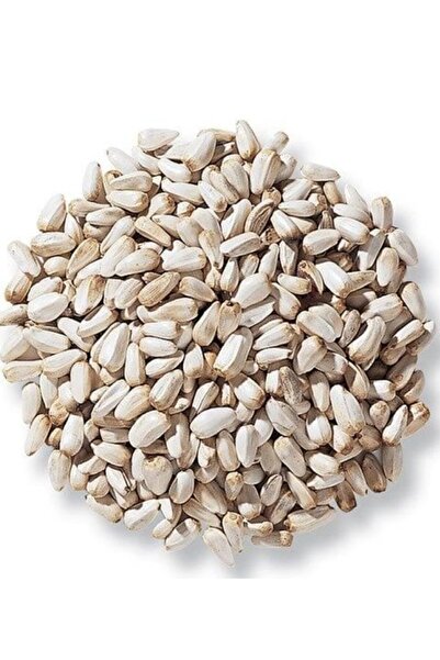 Vivid Aspir Tohumu 500g (BEYAZ MİNİ ÇEKİRDEK GÜVERCİN YEMİ)