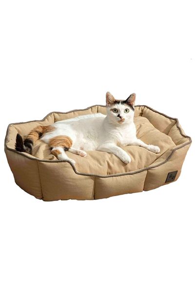 English Home Katzenbett, Katzenbetten für Hauskatzen, Abnehmbarer Bezug, Maschinenwaschbares Hundebett, Gefüllter Cu