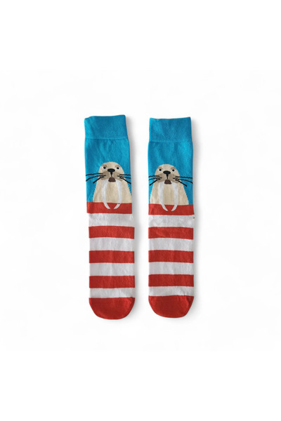 Hedea جوارب أسد البحر المشاغب