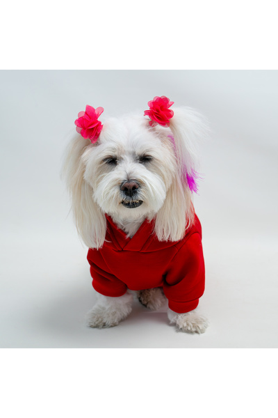 Buddy Store Kedi & Köpek Kıyafeti Elbiseleri Kıyafetleri Sweat - Mickey Mouse Baskılı Kırmızı Sweat