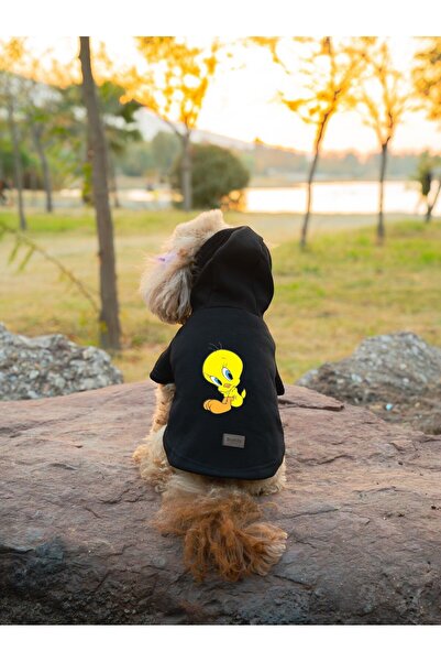 Buddy Store Kedi & Köpek Kıyafeti Elbiseleri Kıyafetleri Sweat - Tweety Baskı...