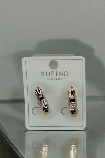 ESMERAY STEEL Steel Luxury Oval Model Xuping Earrings - Superior