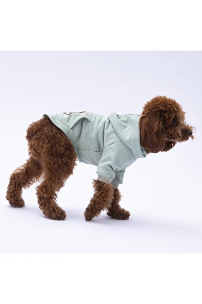 Pettrend Sincap Kanguru Cepli Hoodie Kedi-köpek Hoodie- Sweatshirt Kedi Köpek Kıyafeti