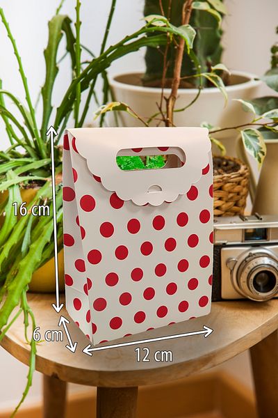 Matbaagraf Hand-Held Cardboard Bag 16 X 12 X 6 Cm, Red Polka Dot - 2 Pieces