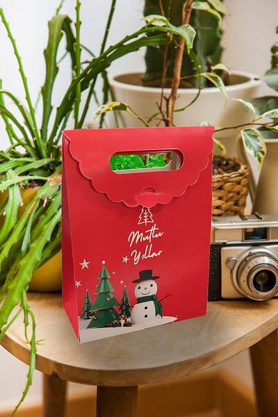 Matbaagraf Hand-Held Cardboard Bag 16 X 12 X 6 Cm, Happy New Year Red - 2 Pieces