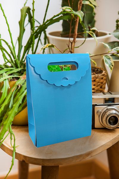 Matbaagraf Hand-Held Cardboard Bag 16 X 12 X 6 Cm, Blue - 2 Pieces