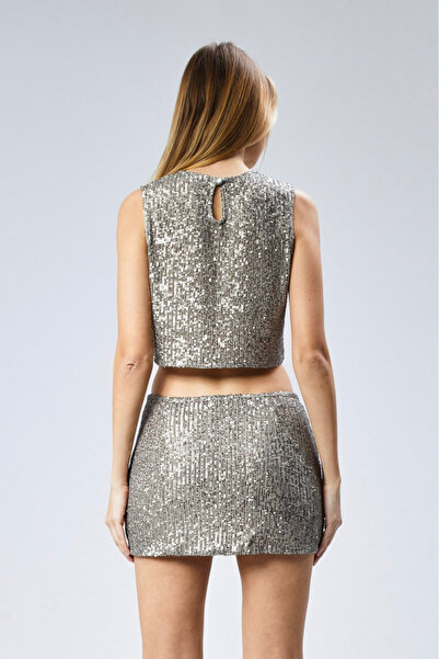 Nineteen Brand Sequin Embroidered Low Waist Mini Skirt