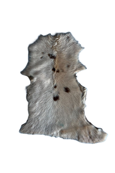 Lndr Gerçek Uzun Tüylü Koyun Postu - Naturel Uzun Tüylü Koyun Postu - Doğal Post Paspas