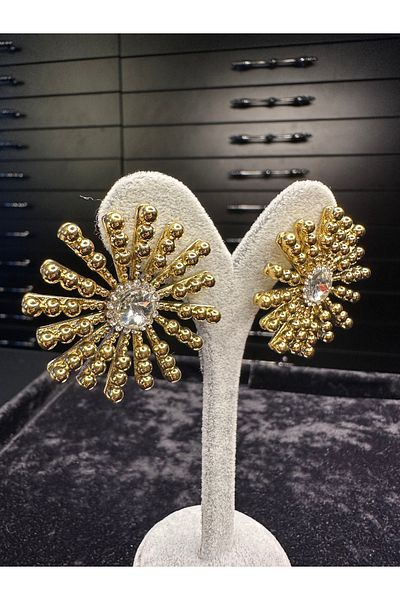 Amber Sun Model Steel Earrings