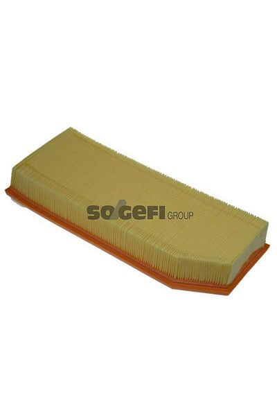 PURFLUX Air Filter for Mercedes Om611 W203 S203 Cl203 C209 W210 S210 W163 W461 W463 Gnzrz
