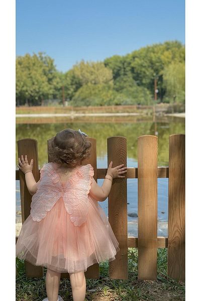 ALYRA Bebeluş Fetiţă Copil Cu Aripi Petrecere Zi de Naştere Nuntă Ocazie Specială Tulle Tutu Căptuşit Rochie de Anul Nou Printesa